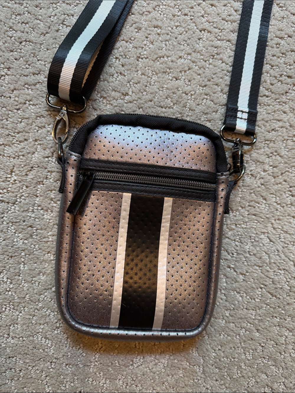 HAUTE SHORE Metallic Silver and Black Crossbody Bag
